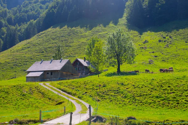 Seealpsee Bij Appenzell Zwitserse Alpen Ebenalp Zwitserland — Stockfoto