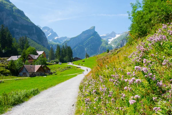 Lake Seealpsee Közelében Appenzell Svájci Alpokban Ebenalp Svájc — Stock Fotó