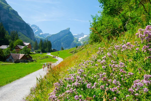 Lac Seealpsee Près Appenzell Dans Les Alpes Suisses Ebenalp Suisse — Photo