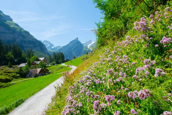 Seealpsee Bei Appenzell Den Schweizer Alpen Ebenalp Schweiz — Stockfoto