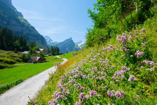 Lake Seealpsee Közelében Appenzell Svájci Alpokban Ebenalp Svájc — Stock Fotó