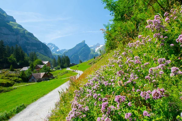 Lac Seealpsee Près Appenzell Dans Les Alpes Suisses Ebenalp Suisse — Photo