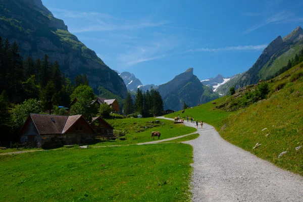 Lake Seealpsee Közelében Appenzell Svájci Alpokban Ebenalp Svájc — Stock Fotó