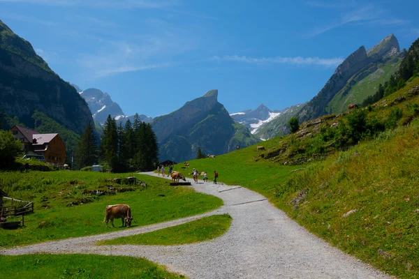 Lago Seealpsee Cerca Appenzell Los Alpes Suizos Ebenalp Suiza — Foto de Stock