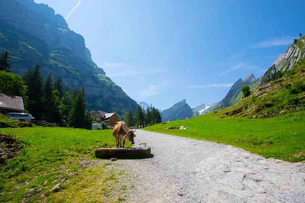 Lake Seealpsee Közelében Appenzell Svájci Alpokban Ebenalp Svájc — Stock Fotó