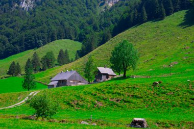 İsviçre 'nin Ebenalp, İsviçre' deki Appenzell yakınlarındaki Seealpsee Gölü 
