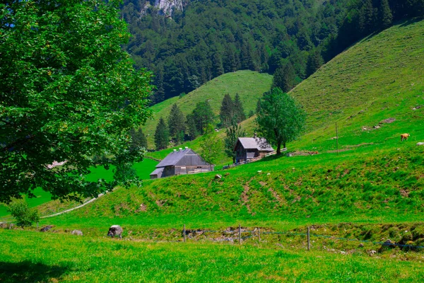 Lago Seealpsee Perto Appenzell Alpes Suíços Ebenalp Suíça — Fotografia de Stock