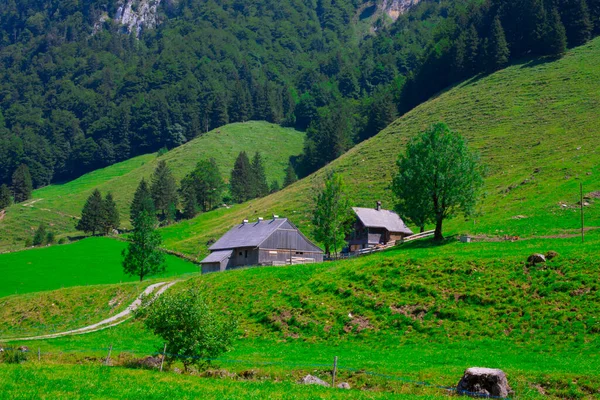 Lago Seealpsee Perto Appenzell Alpes Suíços Ebenalp Suíça — Fotografia de Stock