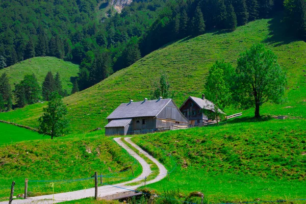 Jezioro Seealpsee Niedaleko Appenzell Alpach Szwajcarskich Ebenalp Szwajcaria — Zdjęcie stockowe