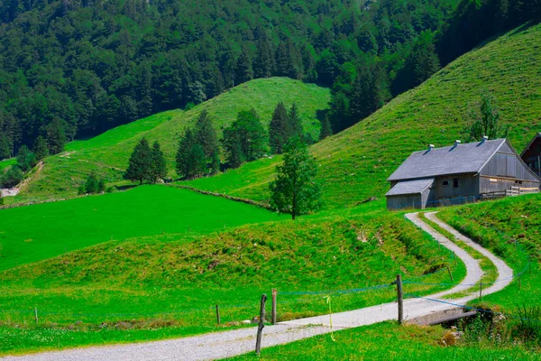 Lago Seealpsee Perto Appenzell Alpes Suíços Ebenalp Suíça — Fotografia de Stock