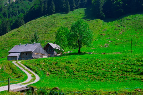 Seealpsee Bij Appenzell Zwitserse Alpen Ebenalp Zwitserland — Stockfoto