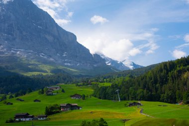 Şaşırtıcı İsviçre dağlık arazisi, yeşil tarlalarda ahşap kiremitler ve arka planda karlı zirveler bulunan yüksek dağlar, Grindelwald, Bernese Oberland, İsviçre, Avrupa