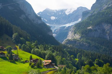 Şaşırtıcı İsviçre dağlık arazisi, yeşil tarlalarda ahşap kiremitler ve arka planda karlı zirveler bulunan yüksek dağlar, Grindelwald, Bernese Oberland, İsviçre, Avrupa