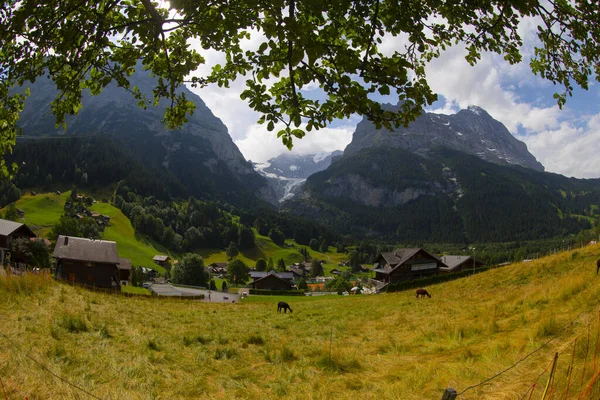 Wunderschöne Schweizer Berglandschaft Holzchalets Auf Grünen Wiesen Und Hohe Berge — Stockfoto