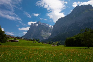 Şaşırtıcı İsviçre dağlık arazisi, yeşil tarlalarda ahşap kiremitler ve arka planda karlı zirveler bulunan yüksek dağlar, Grindelwald, Bernese Oberland, İsviçre, Avrupa