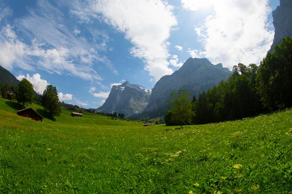 背景に雪のピークを持つ素晴らしいスイスの高山の風景 緑のフィールドに木製のシャレーと高い山 Grindelwald Bernese Oberland スイス ヨーロッパ — ストック写真