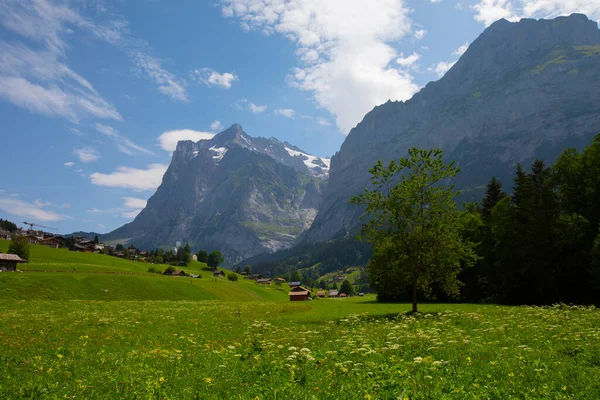 神奇的瑞士高山风景 绿地上的木制小屋和背景上有雪峰的高山 瑞士上伯内塞 — 图库照片