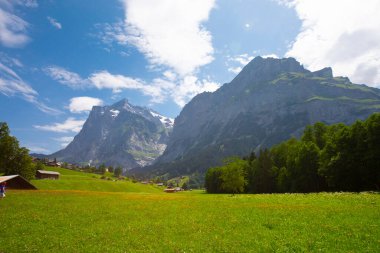 Şaşırtıcı İsviçre dağlık arazisi, yeşil tarlalarda ahşap kiremitler ve arka planda karlı zirveler bulunan yüksek dağlar, Grindelwald, Bernese Oberland, İsviçre, Avrupa