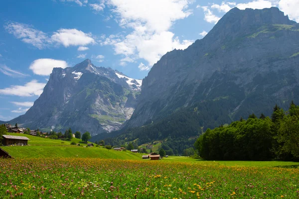 Wunderschöne Schweizer Berglandschaft Holzchalets Auf Grünen Wiesen Und Hohe Berge — Stockfoto
