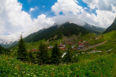 Türkiye 'nin Karadeniz bölgesinde Rize' nin Elevit tepelerinden güzel bir manzara.