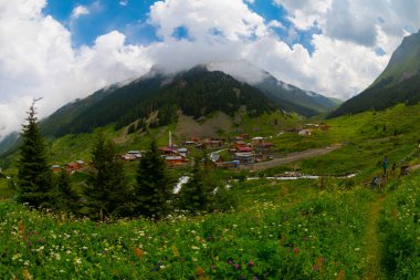 Türkiye 'nin Karadeniz bölgesinde Rize' nin Elevit tepelerinden güzel bir manzara.