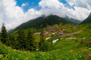 Türkiye 'nin Karadeniz bölgesinde Rize' nin Elevit tepelerinden güzel bir manzara.