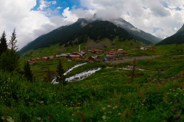 Türkiye 'nin Karadeniz bölgesinde Rize' nin Elevit tepelerinden güzel bir manzara.
