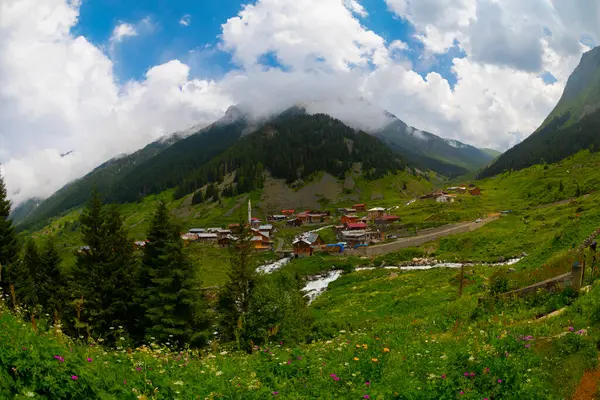 Beau Paysage Des Hautes Terres Elevit Rize Dans Région Mer — Photo