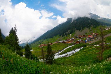 Türkiye 'nin Karadeniz bölgesinde Rize' nin Elevit tepelerinden güzel bir manzara.