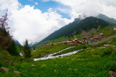 Türkiye 'nin Karadeniz bölgesinde Rize' nin Elevit tepelerinden güzel bir manzara.