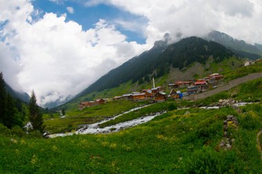 Türkiye 'nin Karadeniz bölgesinde Rize' nin Elevit tepelerinden güzel bir manzara.