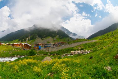 Türkiye 'nin Karadeniz bölgesinde Rize' nin Elevit tepelerinden güzel bir manzara.