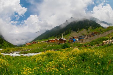 Elevit Platosu Karadeniz 'in en güzel yeridir. Rize Türkiye