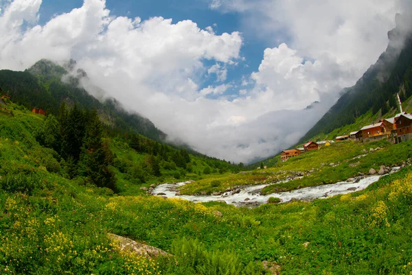 標高高原は黒海の最も美しい場所です Rize Turkey — ストック写真