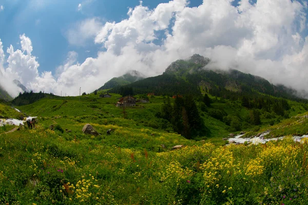 Elevit Platosu Karadeniz Güzel Yeridir Rize Türkiye — Stok fotoğraf