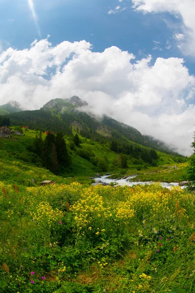 高原高原是黑海最美丽的地方 — 图库照片