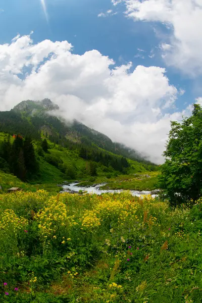 標高高原は黒海の最も美しい場所です Rize Turkey — ストック写真