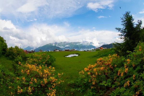 Karadeniz Türkiye Badara Platosu Rize Camlihemsin Bulutların Doğanın Manzarası Yeşil — Stok fotoğraf