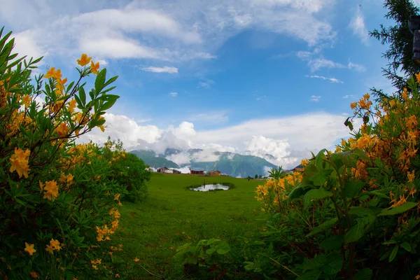 Οροπέδιο Badara Rize Camlihemsin Στη Μαύρη Θάλασσα Τουρκία Τοπίο Των — Φωτογραφία Αρχείου