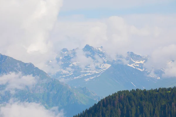 Karadeniz Türkiye Badara Platosu Rize Camlihemsin Bulutların Doğanın Manzarası Yeşil — Stok fotoğraf