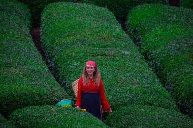 Çay bahçesinde çalışan kadın Türkiye 'yi canlandırıyor