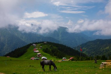 Türkiye 'nin Pokut Masa Diyarı bölgesindeki tepedeki kır evleri mavi gökyüzü ve bulutlu.