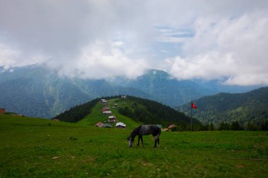 Türkiye 'nin Pokut Masa Diyarı bölgesindeki tepedeki kır evleri mavi gökyüzü ve bulutlu.
