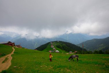 Türkiye 'nin Pokut Masa Diyarı bölgesindeki tepedeki kır evleri mavi gökyüzü ve bulutlu.