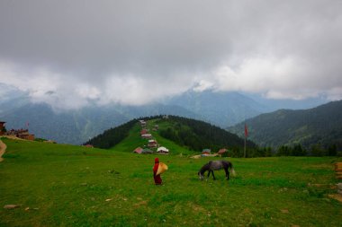 Türkiye 'nin Pokut Masa Diyarı bölgesindeki tepedeki kır evleri mavi gökyüzü ve bulutlu.