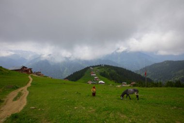 Türkiye 'nin Pokut Masa Diyarı bölgesindeki tepedeki kır evleri mavi gökyüzü ve bulutlu.