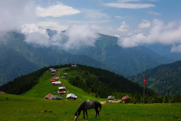 Türkiye Nin Pokut Masa Diyarı Bölgesindeki Tepedeki Kır Evleri Mavi — Stok fotoğraf