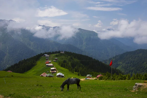 Domki Wzgórzu Pokut Tableland Region Leśny Turcji Niebieskim Niebem Chmurami — Zdjęcie stockowe