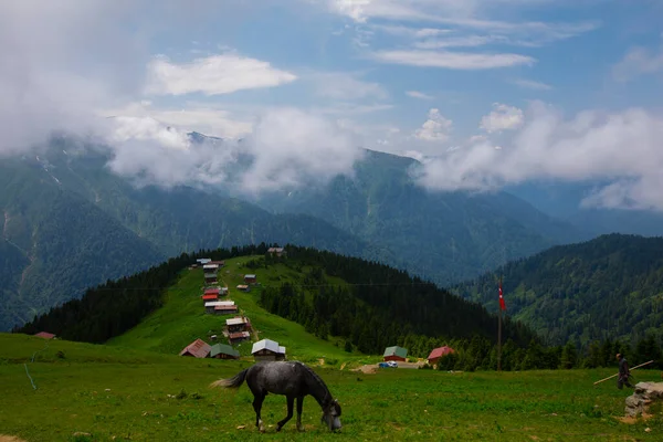 Vakantiehuisjes Een Heuvel Pokut Tableland Bosgebied Van Turkije Met Blauwe — Stockfoto