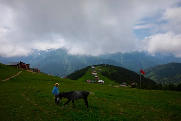 Stugor Sluttning Pokut Tableland Skogsområde Turkiet Med Blå Himmel Och — Stockfoto